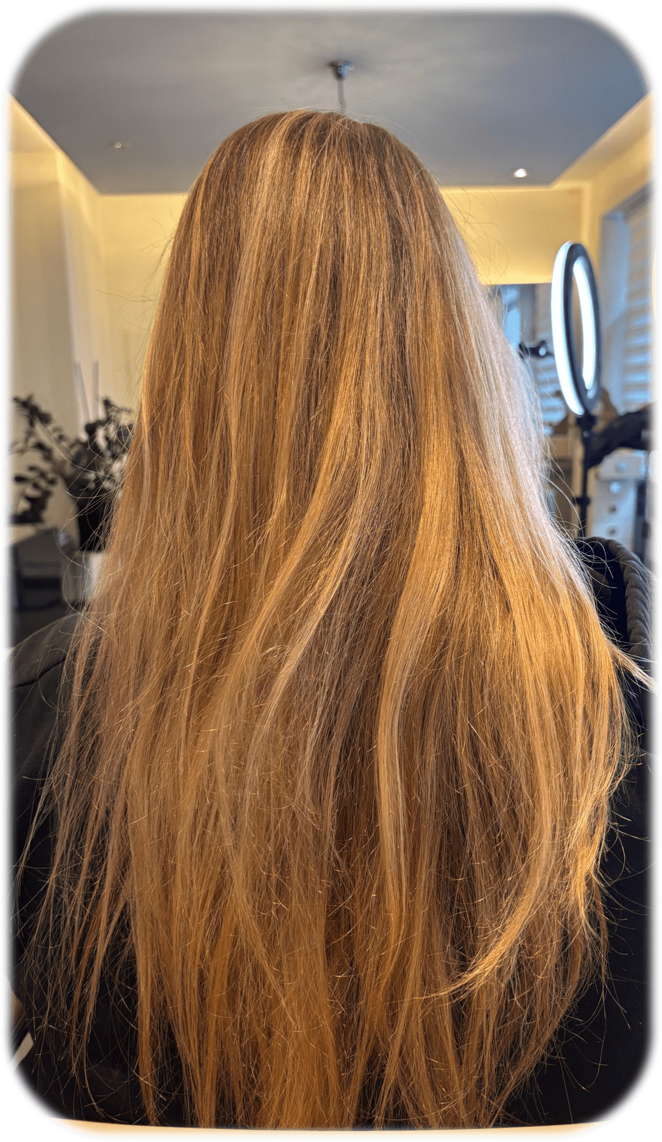 Before image