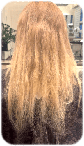 Before image